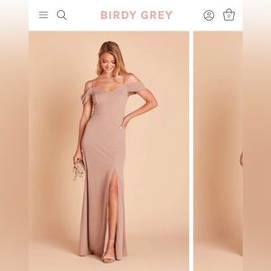 Birdy Grey - Taupe Dev Dress